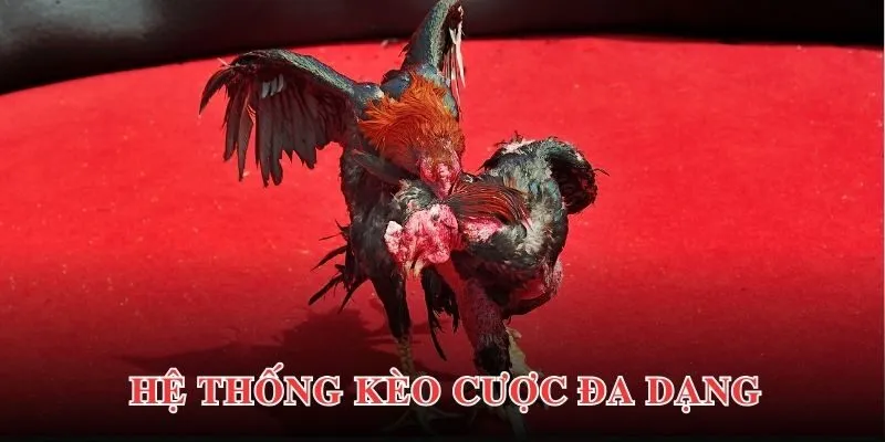 Ưu điểm thu hút người chơi tại sảnh ICF Sports